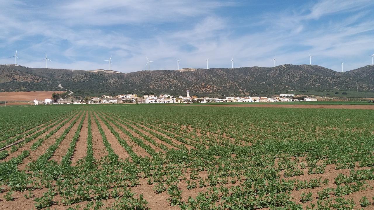 Posada Ana Ponce Sierra de Yeguas Ngoại thất bức ảnh